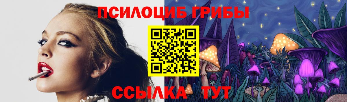 Галлюциногенные грибы Cubensis  Вход с VPN  Абакан  Галлюциногенные грибы Psilocybe 
